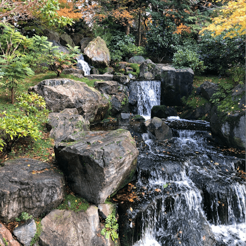 Stroll through Holland Park or explore the Design Museum – they're a few steps away