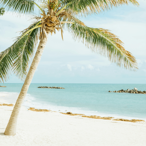 Explore the stunning coastline of Key West