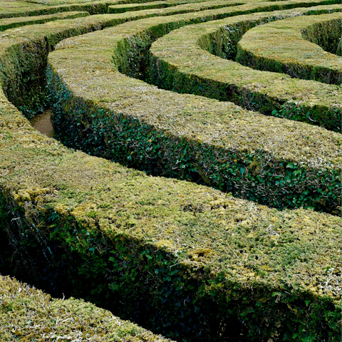 Wander through the maze at Longleat Safari Park, within a twenty–minute drive away