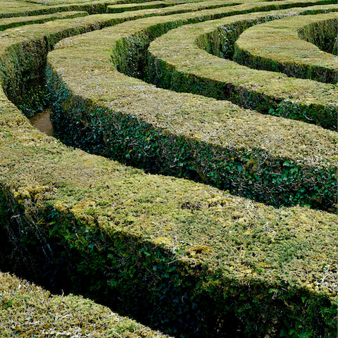 Wander through the maze at Longleat Safari Park, within a twenty–minute drive away