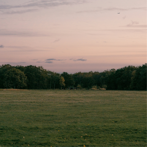 Take morning walks on Wimbledon Common