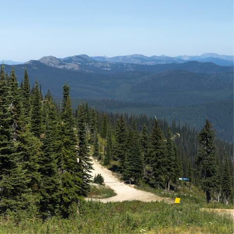 Put on your hiking boots and follow tracks through Whitefish