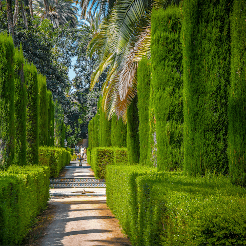Soak up the greenery as you stroll through the Royal Alcazar gardens