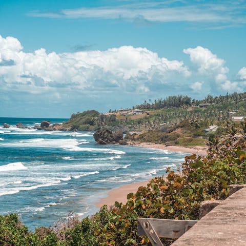 Sit back and relax on the shaded sands of Weston Beach, a short drive from home