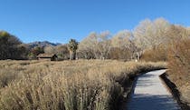 Explore the Scenic Trails at Big Morongo Canyon Preserve