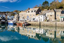 Explore Padstow's Charming Locality