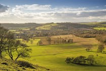 Explore Cissbury Ring's Ancient Fort and Breathtaking Views