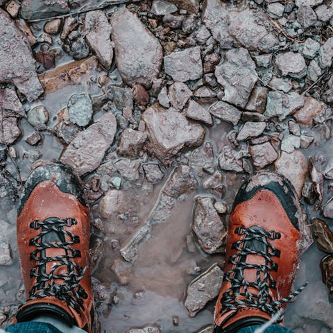 Go for long refreshing walks in the countryside