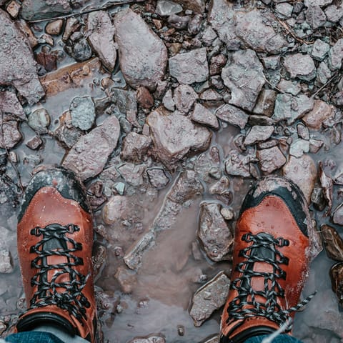 Go for long refreshing walks in the countryside