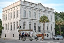 Explore Charleston's History on a Horse-Drawn Carriage Tour