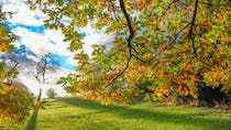 Explore the Tranquil Beauty of Roundhay Park