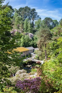 Explore the Breathtaking Bodnant Gardens