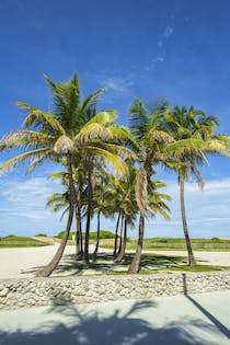 Relax at Lummus Park