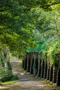 Explore Beaumont Park