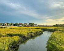 Explore the Scenic Shem Creek