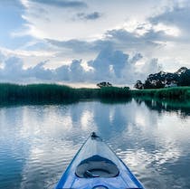 Kayak with Dolphins and Wildlife at Hilton Head
