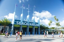 Explore the Miami Seaquarium
