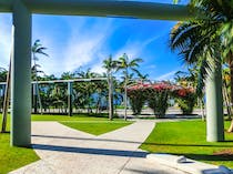 Experience Outdoor Movies at Soundscape Park