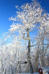 Ski and Stay at Belleayre Mountain