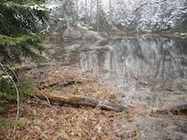 Explore Sloan Gorge Preserve