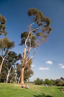 Explore the Tranquil Beauty of Golden Hill Park