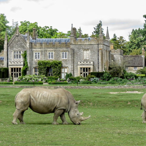 Visit Cotswold Wildlife Park and Gardens, a short drive away