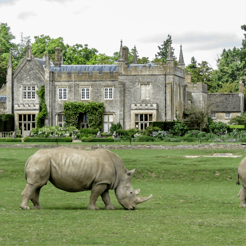 Visit Cotswold Wildlife Park and Gardens, a short drive away