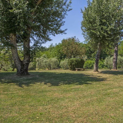 Take a seat under the shade of the trees or  play games on the lawn