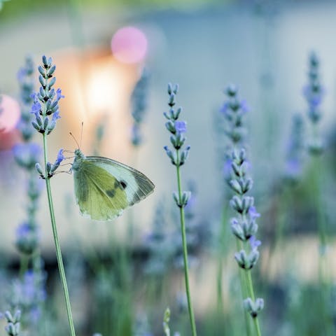 Discover nearby gardens and villages