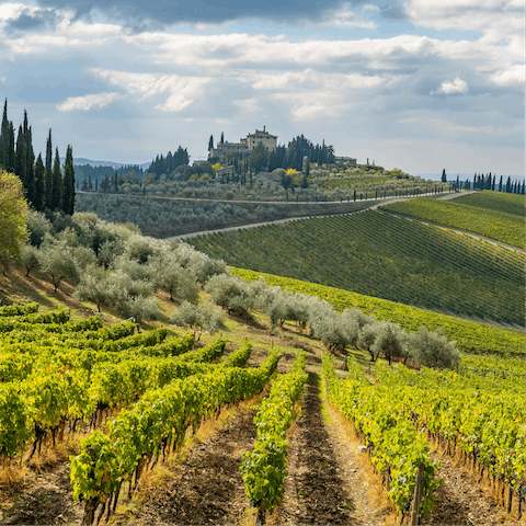 Visit the charming hilltop town of Radda, only eight kilometres away