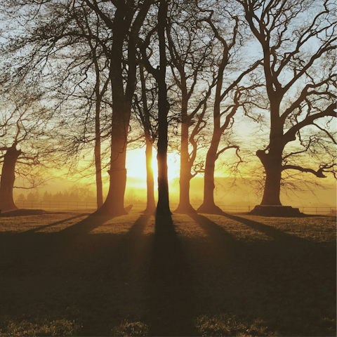 Fall in love with the Cotswolds while hiking through the countryside
