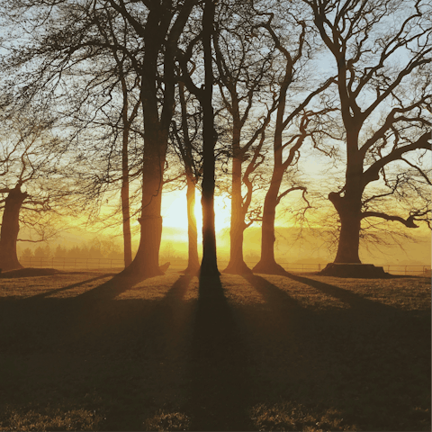 Fall in love with the Cotswolds while hiking through the countryside