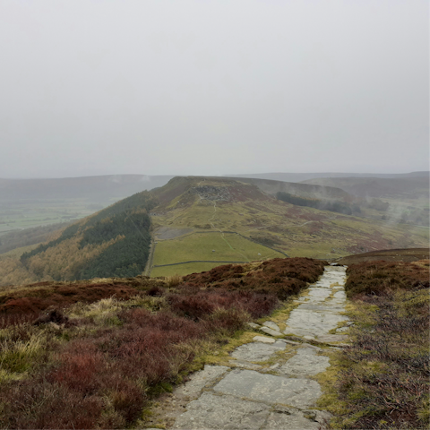 Explore the stunning landscapes of the North York Moors National Park