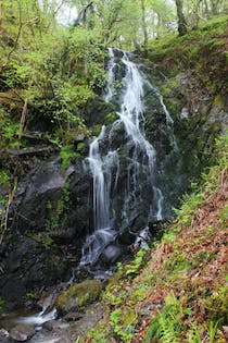 Explore Dolgoch Falls