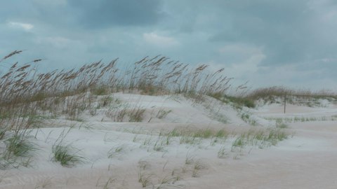 Marvel at the Florida Panhandle's sugar-white dunes and rare coastal dune lakes