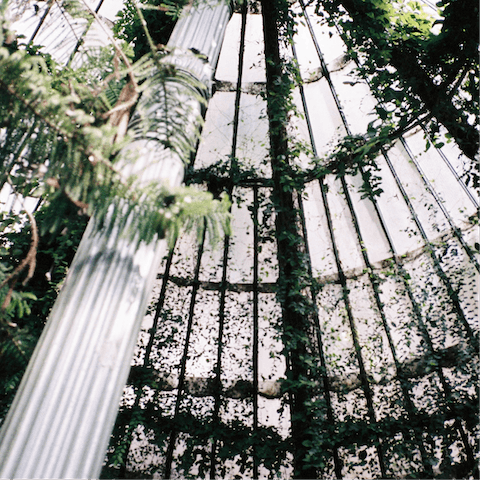 Stroll over to the Real Jardín Botánico in El Retiro Park