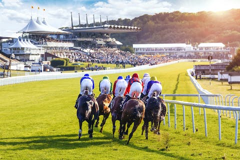 Have a day at the races – reachable in twenty-nine minutes by car