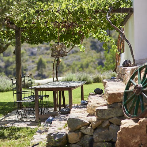 Enjoy alfresco dinners in the dappled shade of the vines