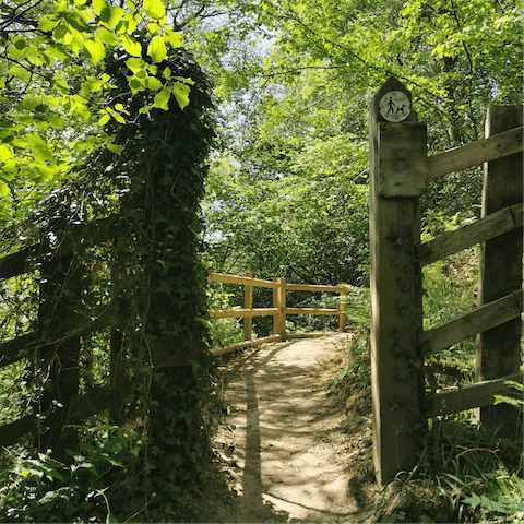 Spend the afternoon on a hiking trail in the Shropshire hills