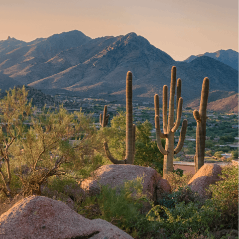 Hike through the desert landscapes of Phoenix Sonoran Preserve