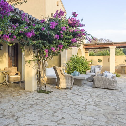 Enjoy aperitifs under the flora of the terrace