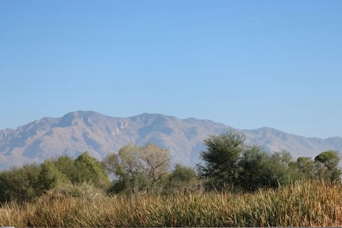 Hike Catalina State Park's stunning Sonoran Desert trails and canyon landscapes, a nineteen-minute drive