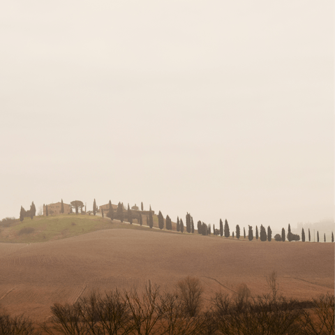 Enjoy the rural Tuscan landscape surrounding the villa