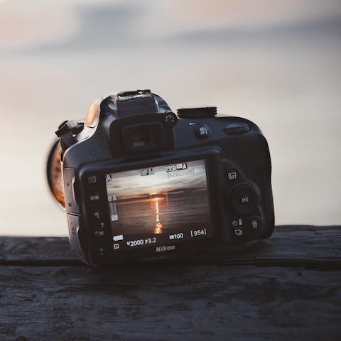 Let your host arrange some bespoke wildlife photography and filming tuition with a professional wildlife cameraman who has worked with BBC, ITV and CH5