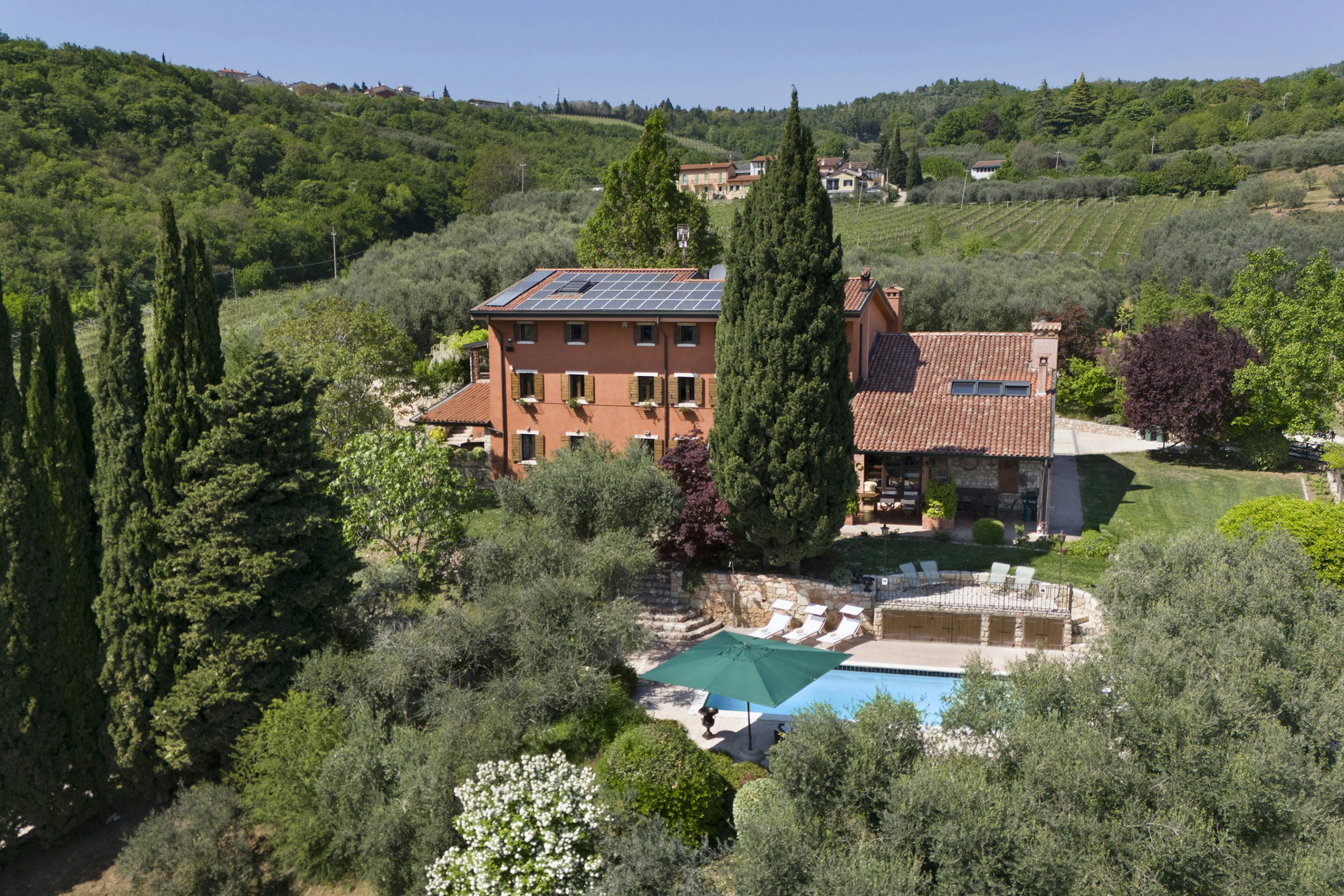 Terrarossa Vines
