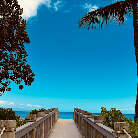 Pack a bag and stroll straight over to Kaanapali Beach