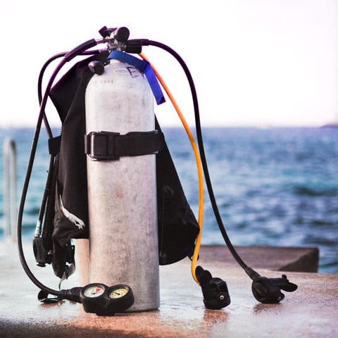 Go on a diving adventure at the centre – nine minutes away by car