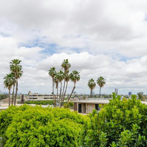 Look out to leafy palm trees as you sip your espresso on the balcony