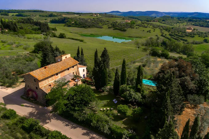 Tuscan Iris