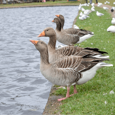 Enjoy walks and runs through Clapham Common, a few steps away